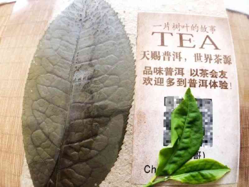 云南普洱茶去涩的方法有哪些