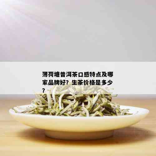 薄荷糖普洱茶生茶2000克：价格表与口感特点