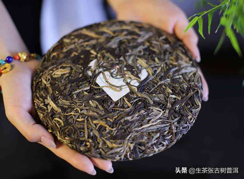 老班章与普洱茶的区别：口感特点和喜好