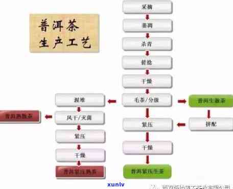 探究老班章普洱茶的制作工艺与其是否属于熟茶