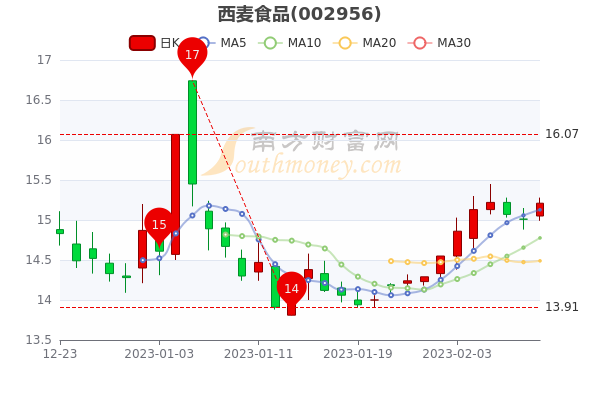 2004年普洱茶饼的价格走势及市场行情分析，了解收藏与品鉴的关键价值