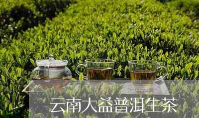 云南勐海大益茶坊：哪里的正宗生普洱茶最值得品饮投资？