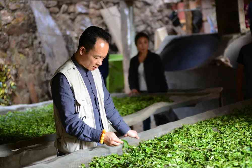 探究普洱茶的神秘之处：为何品尝起来什么味道也没有？