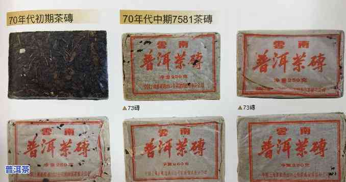 云南春城茶厂：70年代历背景与倚邦古茶简介