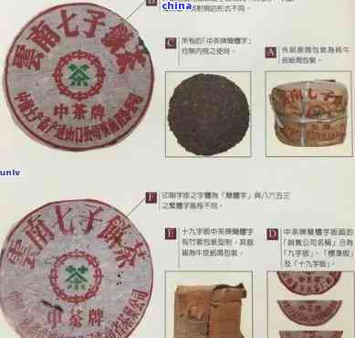 82年老班章茶的历价格、品质和品鉴方法 - 全面解析