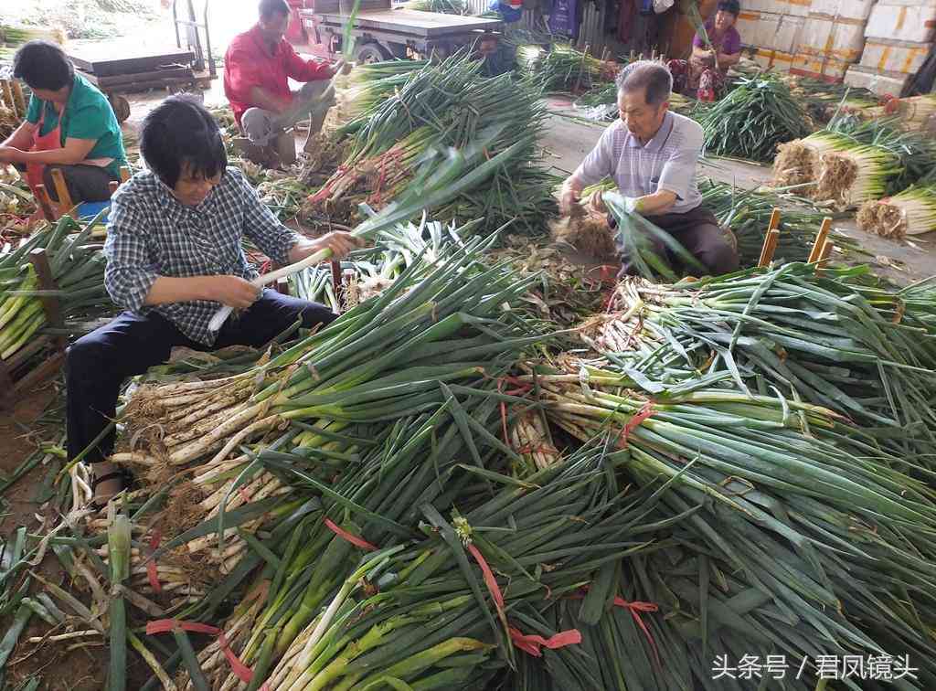 信用卡1000元逾期两年：后果、处理方式及利息计算