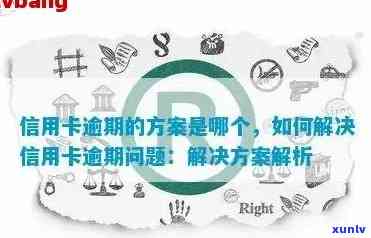 五张信用卡逾期后的全方位处理策略