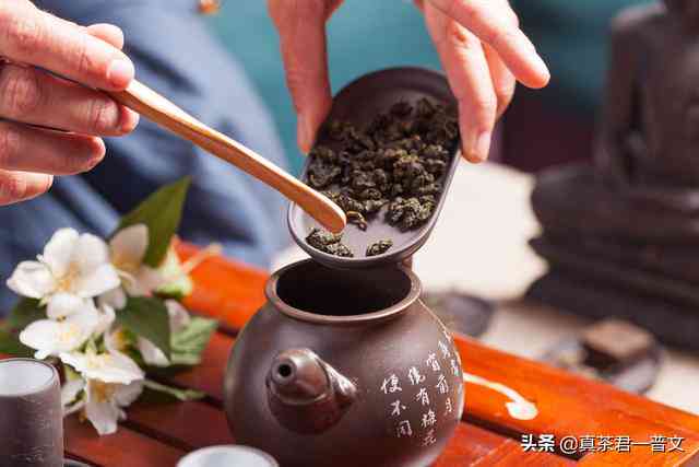 为什么大家都惋惜普洱茶的人不喝茶？探究原因及建议。