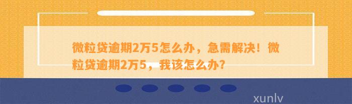 逾期2年多仍未还款2万微粒贷，我该如何解决这个问题？