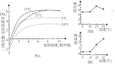 糯种价值评估：水分含量对价格的影响及如何鉴别水分充足的糯种？