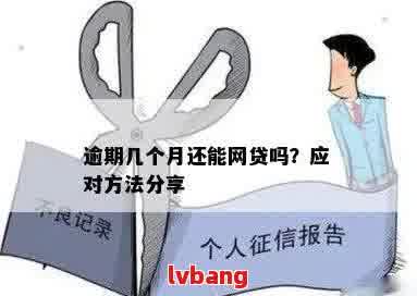 网贷逾期未还：解决方法与还款策略