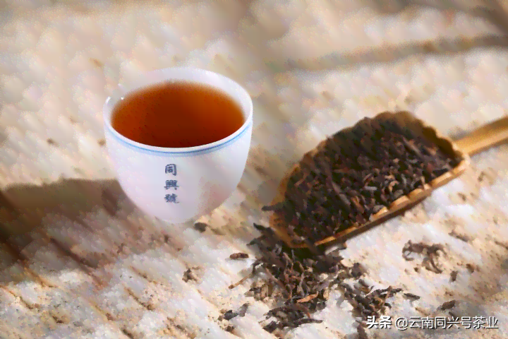 普洱茶的历与文化：探讨茶经中关于普洱茶的记载及其重要性