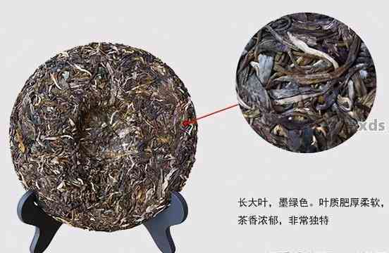 普洱茶叶底颜色多样性：原因、分类及对品质的影响