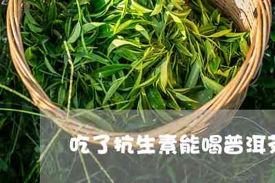 吃青霉素时能喝普洱茶吗