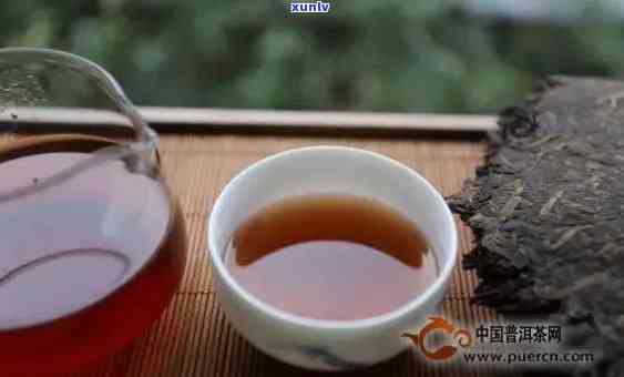 19年普洱茶熟茶品鉴：是否过期及其适宜饮用期分析