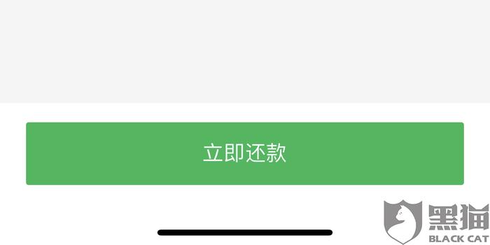 360数科以逾期未偿还借款为由起诉债务人，涉及借条与问题