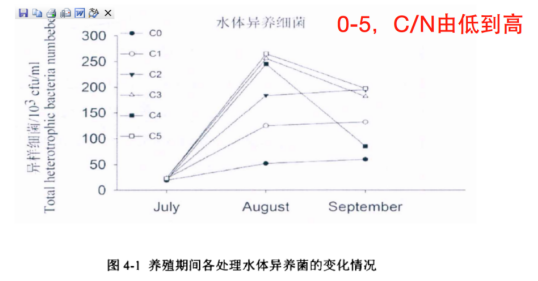 全面解析：如何挑选高品质的原石？了解种水好的原石特点与选购方法