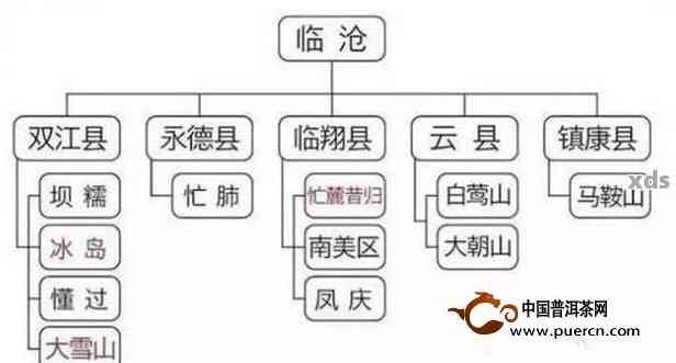 云南普洱茶：红茶还是绿茶？探索普洱茶的茶叶分类与风味