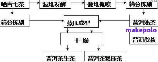 云南普洱茶的种类、制作工艺及其所属茶叶类型详解