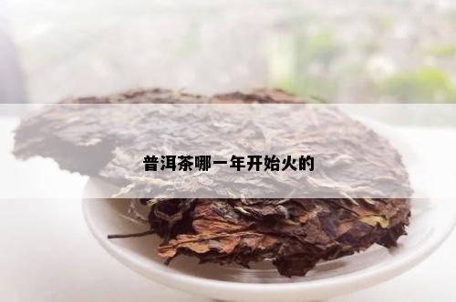 普洱茶什么时候火起来的呢