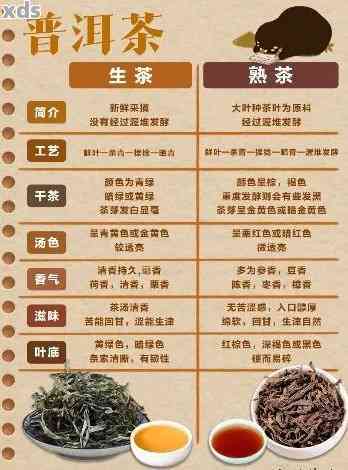 熟普洱茶的等级是怎么分辨的