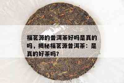 探讨普洱茶的品质：霉味是否影响其好坏？