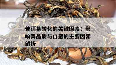 普洱茶为什么有些转换的慢？解析影响普洱茶陈化速度的关键因素