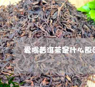 比较喜欢普洱茶的原因是什么