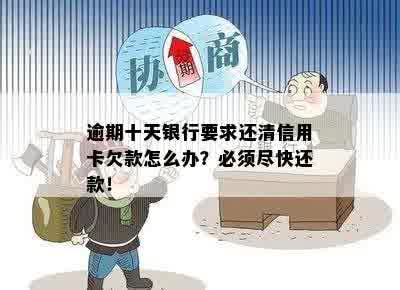 逾期10天后一次性还清信用卡欠款：信用记录、还款流程与可能影响全解析