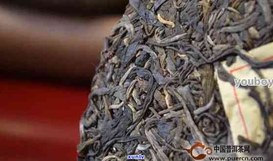 96年云南古树普洱茶价格分析：批发行情一览