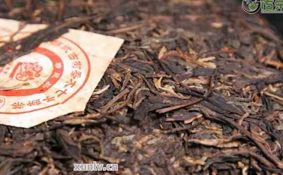 1996年普洱茶市场价格解析：一斤茶叶的真实价值是多少？