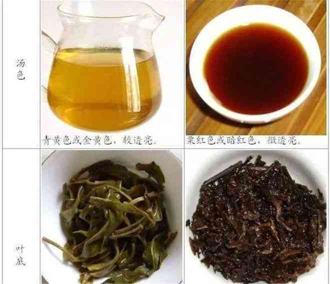 生熟普洱茶：祛痘良方，怎么喝效果？