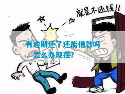 逾期了还完了还能借钱吗怎么办，怎么办理？