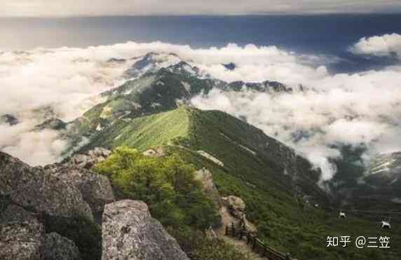 陕西地区玉石种类及特点：探索秦岭山脉的宝石世界