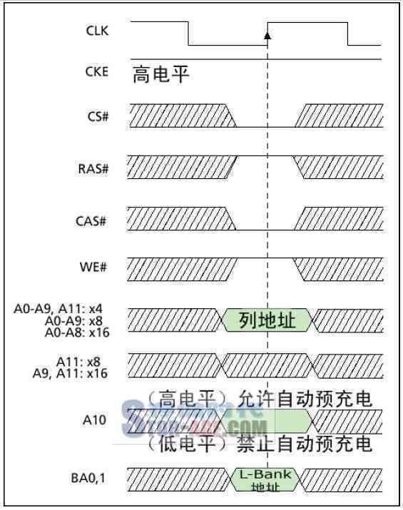 豆种带绿：品种选择、种植方法、生长周期及其影响因素的综合指南