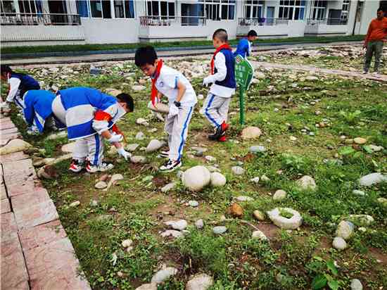 雅安石头玉主要产地及特色：探索这座城市的宝石宝藏