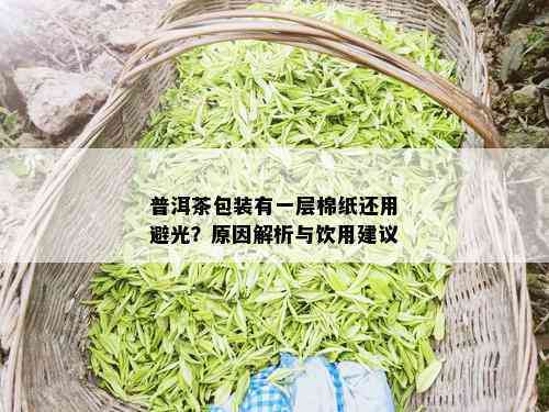 普洱茶棉纸破损是什么原因