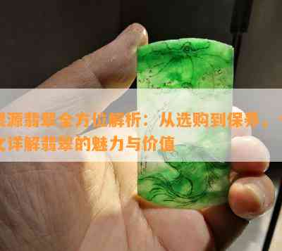 探索飘果绿翡翠的魅力：品质与价值分析