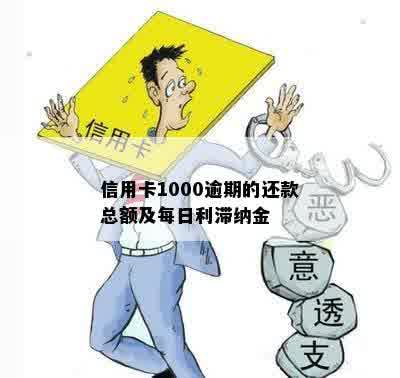 信用卡逾期6个月还款1000元的后果及解决方法全面解析