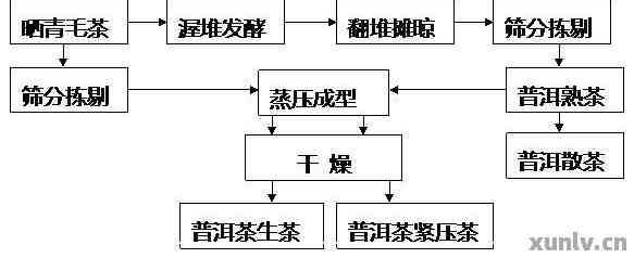 普洱茶加工关键工艺流程：探究重要工序与意义