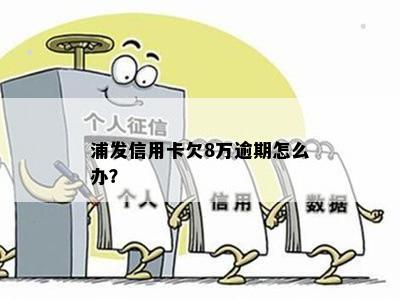 浦发信用卡8万欠款逾期6个月：处理方法与可能后果分析