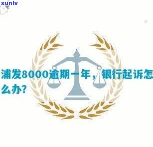 浦发信用卡逾期一年8000元，可能会面临哪些法律后果和解决办法？