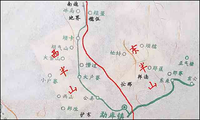 高杆普洱与普通普洱：从品种、产地、工艺到品质的全方位对比分析