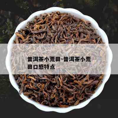 小荒田100克普洱茶生茶