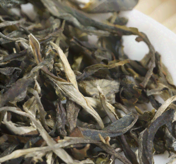 小荒田100克普洱茶生茶