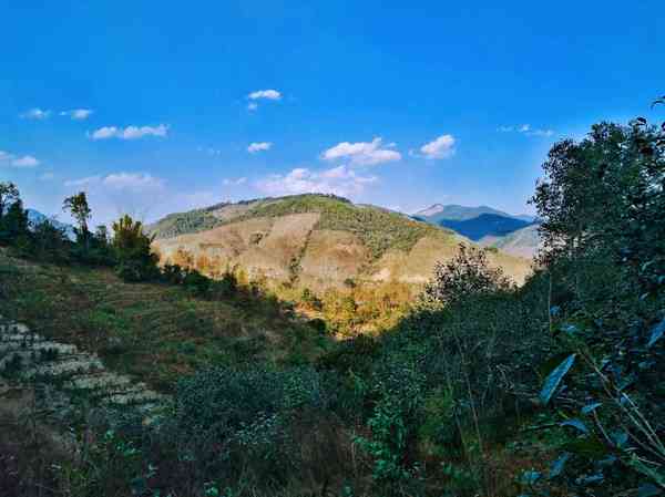 云南临沧著名山头产茶：布朗、昔归、景迈等六大茶山的历与特点