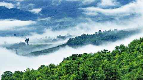 云南临沧著名山头产茶：布朗、昔归、景迈等六大茶山的历与特点