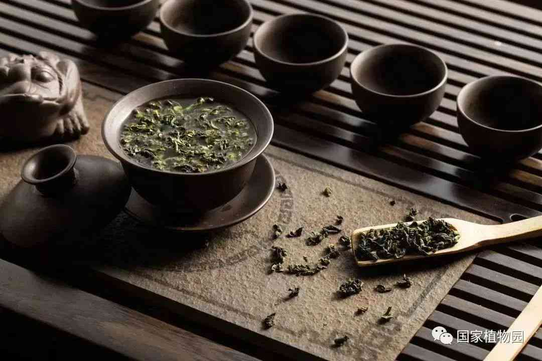 合肥茶叶品种大盘点：了解这些茶品，品味合肥的茶文化