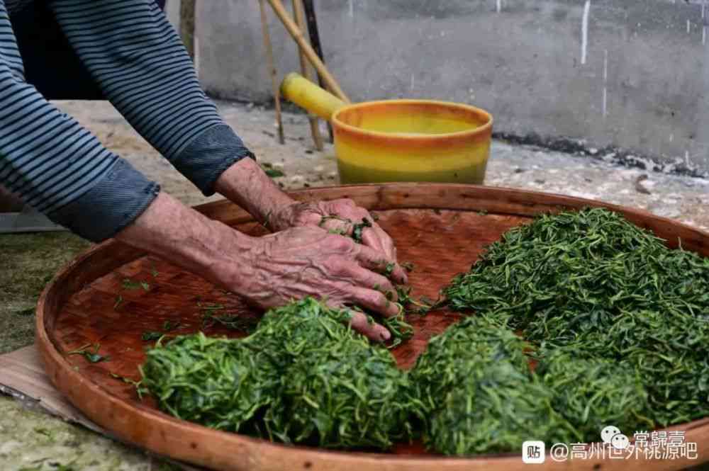 合肥茶叶品种大盘点：了解这些茶品，品味合肥的茶文化