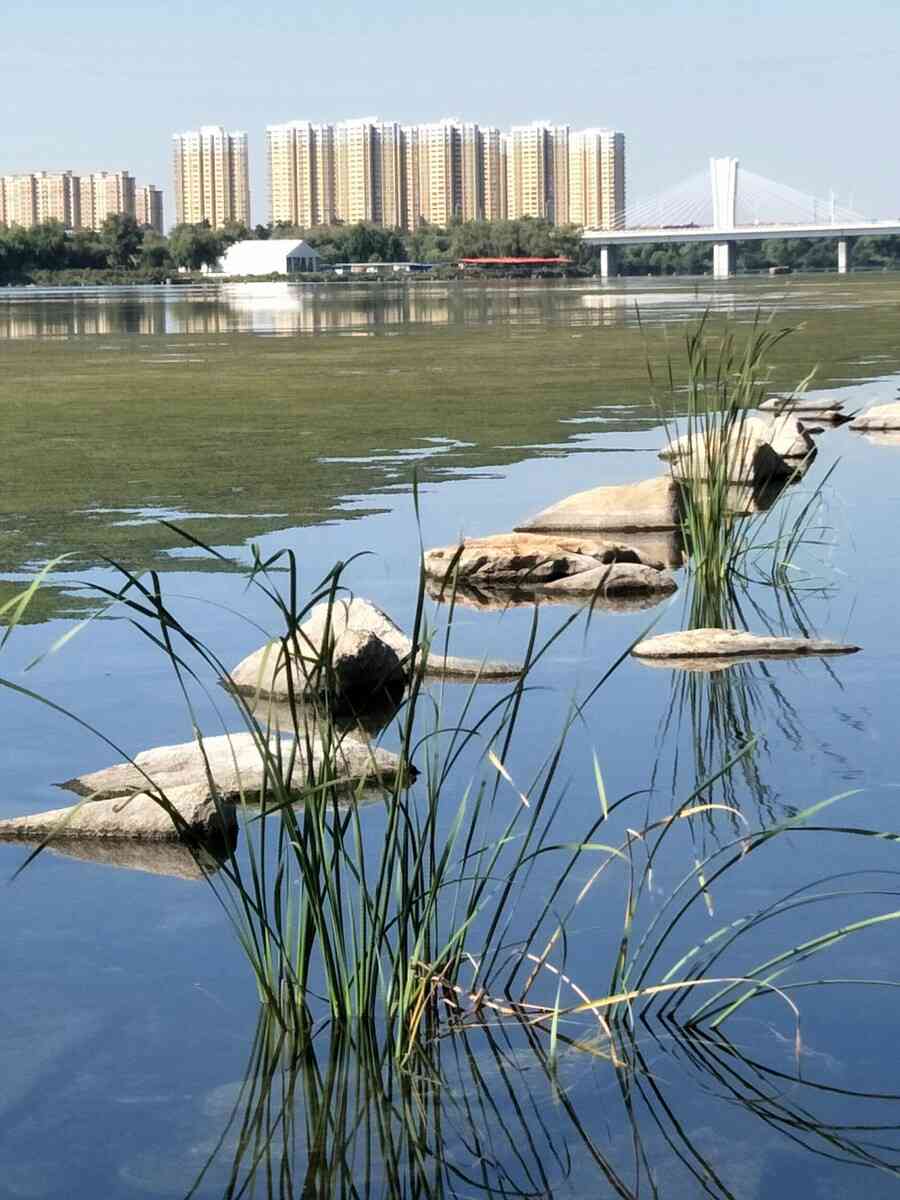 太子河：辽阳的自然宝藏，探索不一样的风光之旅